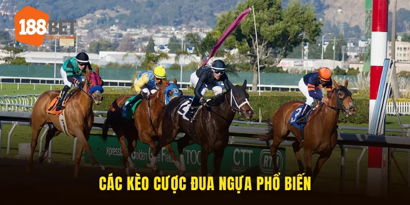 Các kèo cược phổ biến