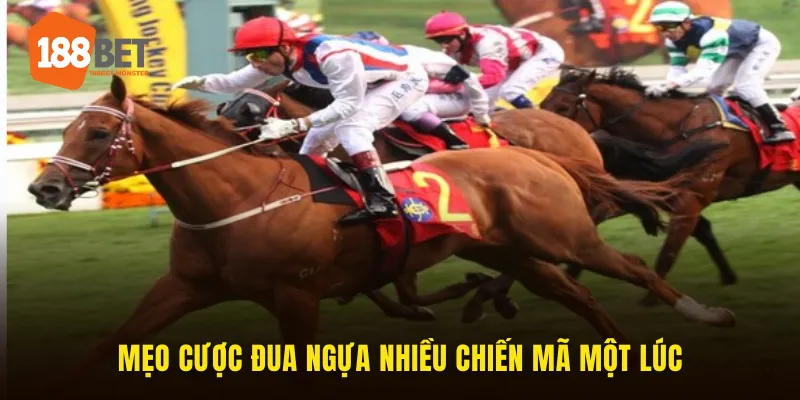 Mẹo cược đua ngựa nhiều chiến mã một lúc